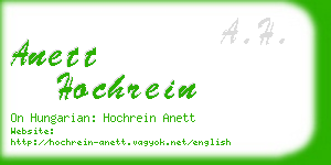 anett hochrein business card